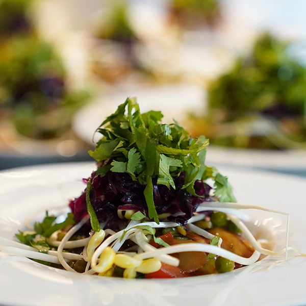 Sustainable Garden Practices