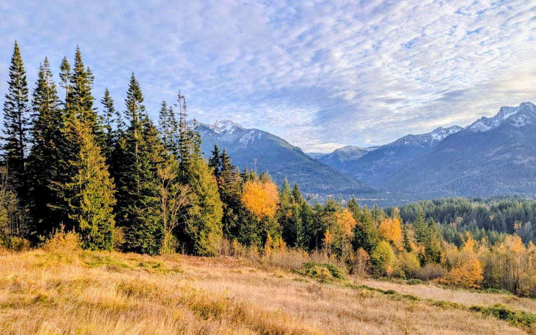 Experience True Renewal at Santé Mountain Retreat: The Premier Wellness Retreat in Chilliwack